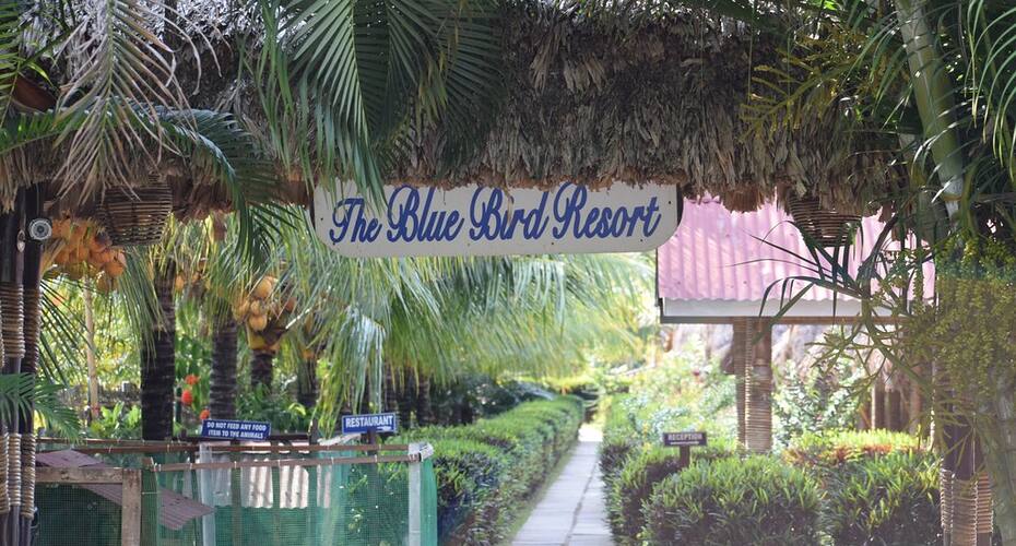 Blue Bird Resort, Havelock Island 2